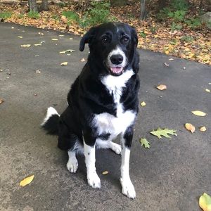 Meet your Posher, Cindi